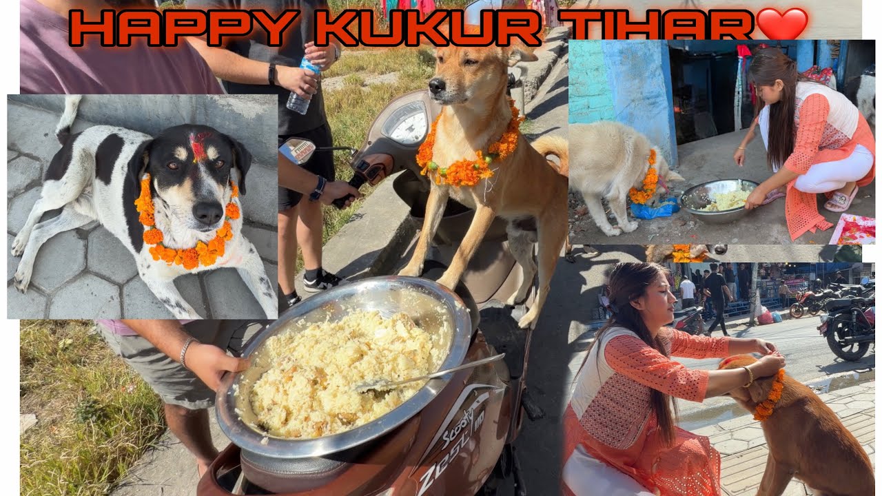 Celebrating Kukur Tihar with my street dogs🐶❤️