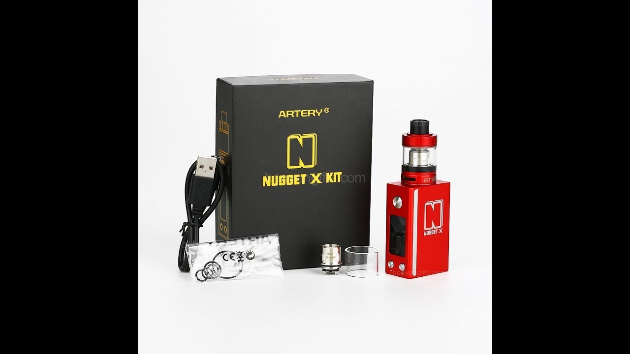 Revision Artery Nugget X