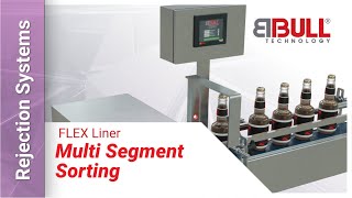 BBULL FLEX LINER | Automated rejection system for bottles, cans and other containers