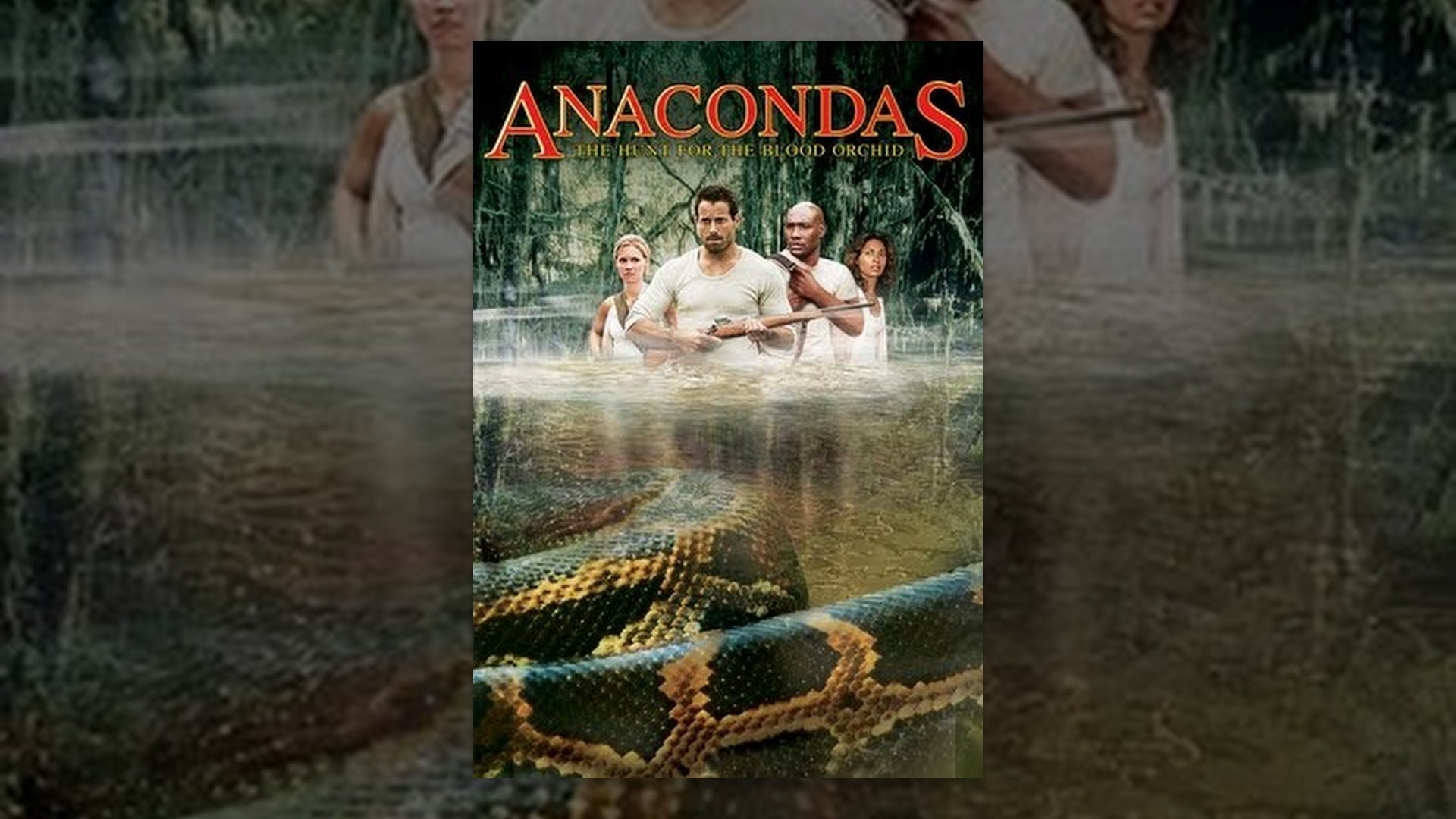 anaconda blood orchid anaconda blood orchid