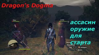 Dragon's Dogma. Ассасин. Оружие для старта.