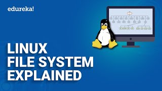 Linux File System Explained | Linux File System Overview | Edureka