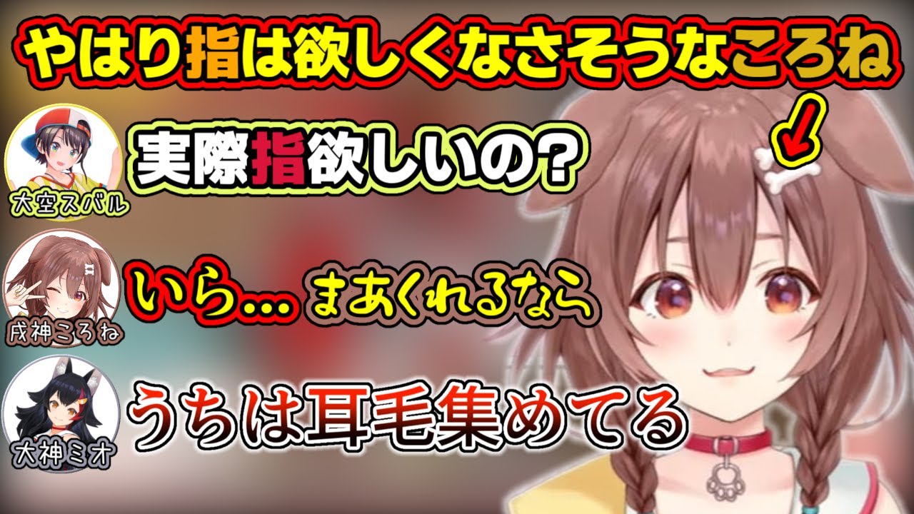 やっぱり『指』はそんなに欲しくなさそうなころねと『耳毛』を集めているミオしゃ【ホロライブ/大空スバル/大神ミオ/戌神ころね】