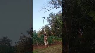 almost succeeded in bringing down the big bird #shortvideo #viral #fyp