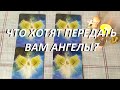 ЧТО ХОТЯТ ПЕРЕДАТЬ ВАМ АНГЕЛЫ?