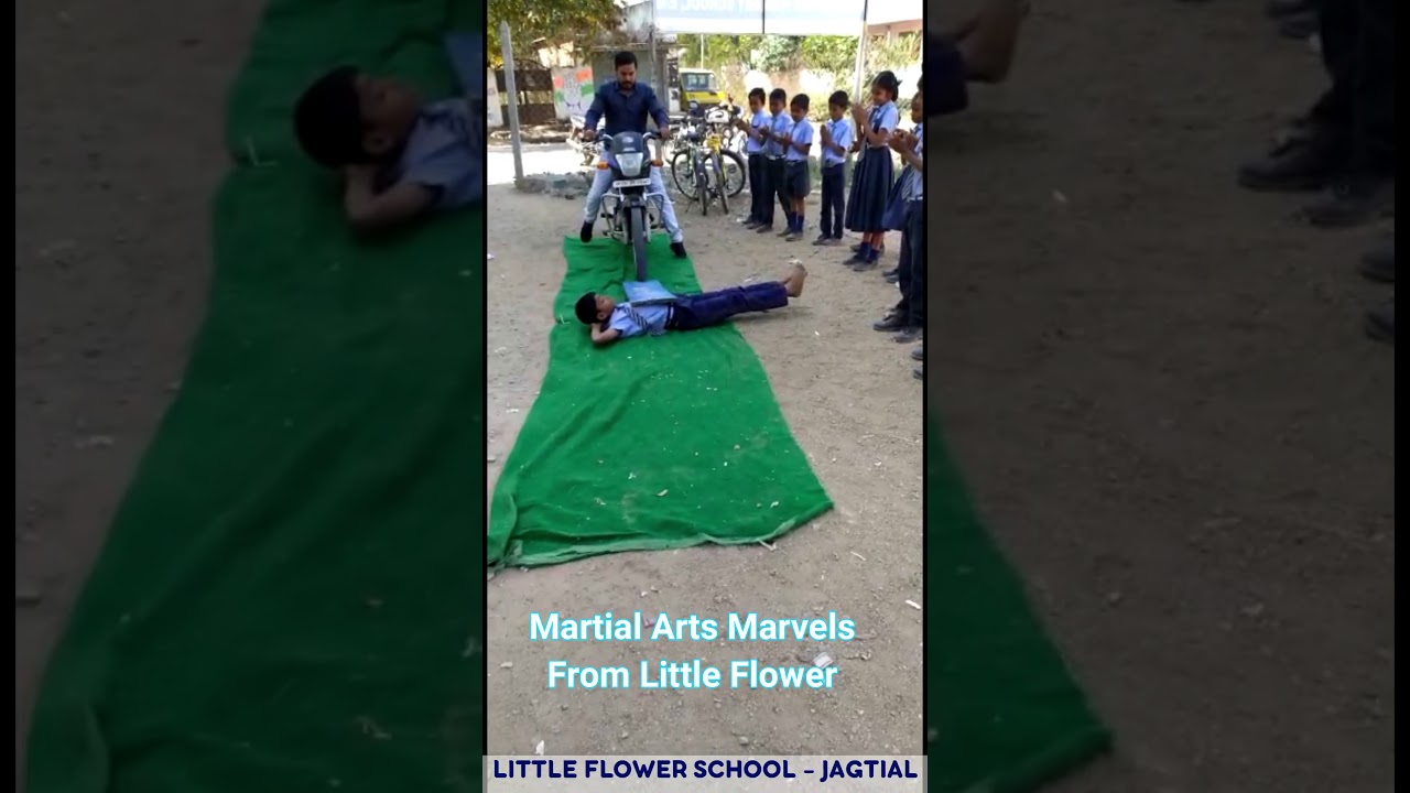 Martial arts Marvels