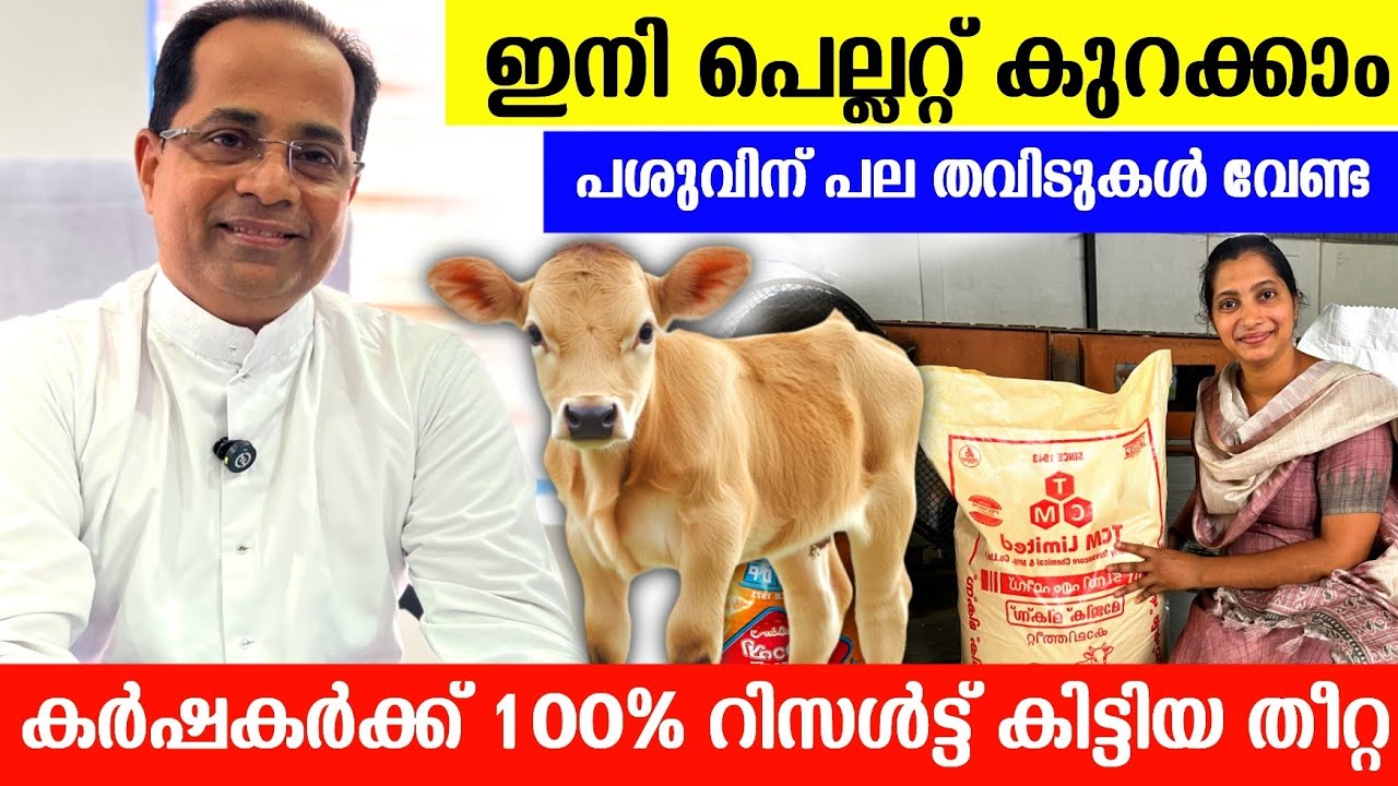PDDP യിലെ കർഷകർക്ക് 100% റിസൾട്ട്‌ കിട്ടിയ തീറ്റ, ഇനി കേരളത്തിലെവിടെയും കിട്ടും |Dairy farming 