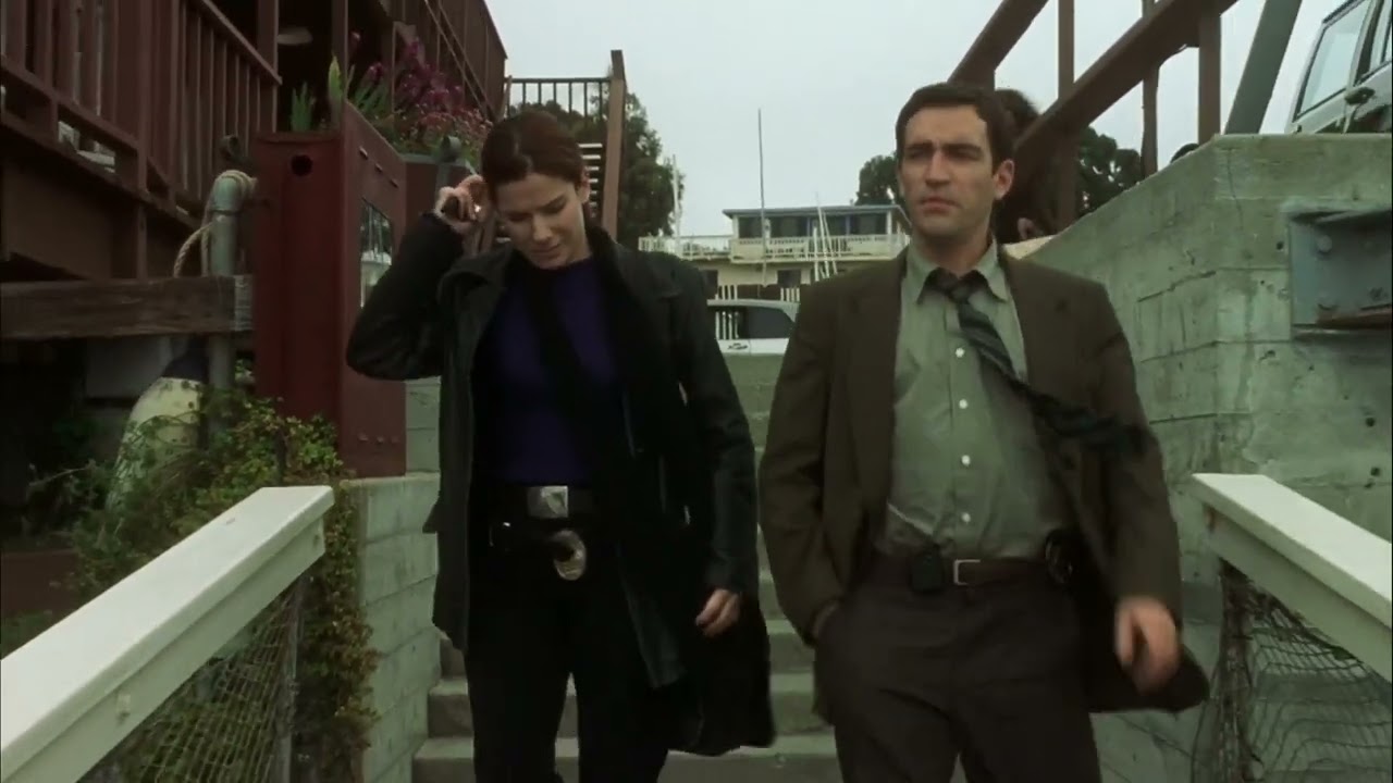 sandra bullock the hyena