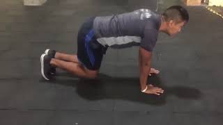 Bear Crawl Jacks