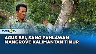 Agus Bei, Sosok Pahlawan Hutan Mangrove Di Kalimantan Timur #KICKANDY