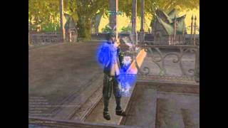 L2elite C4.wmv
