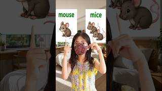 Learn Irregular Plurals in 20 Seconds!