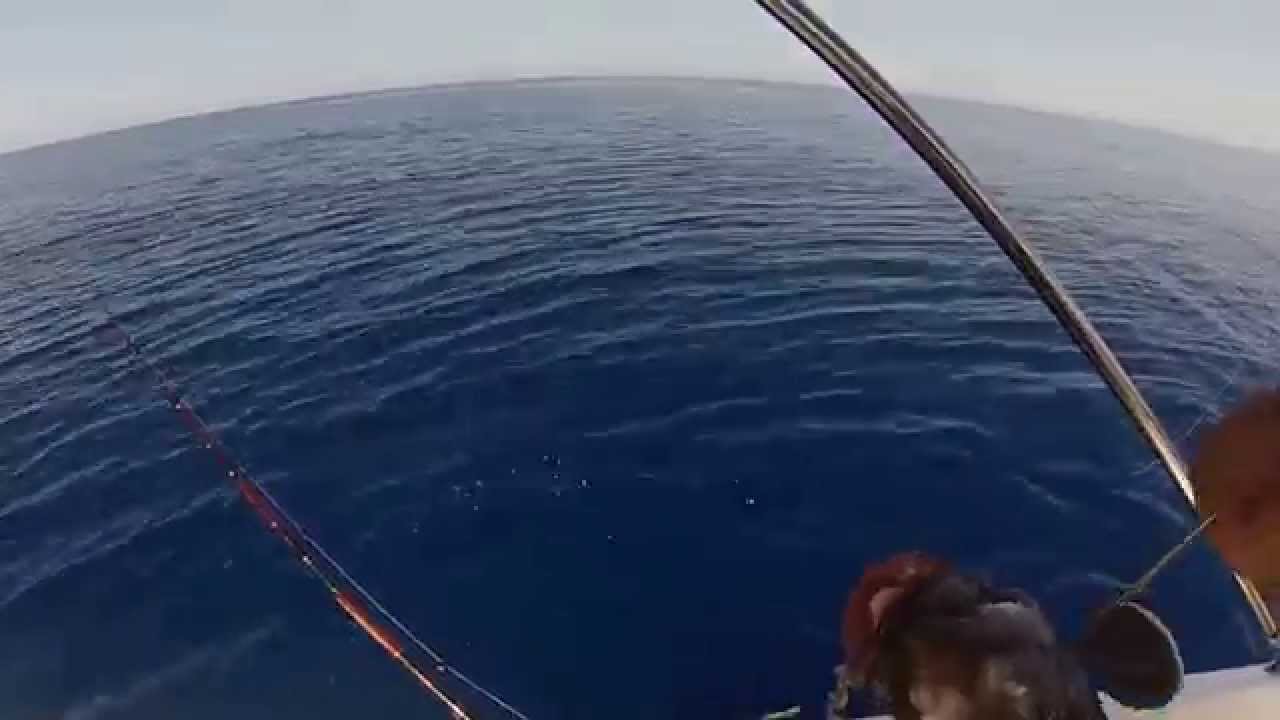 Deep sea fishing Grouper Malta. YouTube