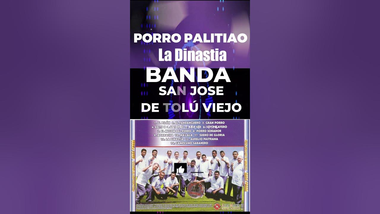 La Dinastía - Banda San José de Tolú Viejo #porros #solobandas #toluviejo #bandasenvivo #shorts
