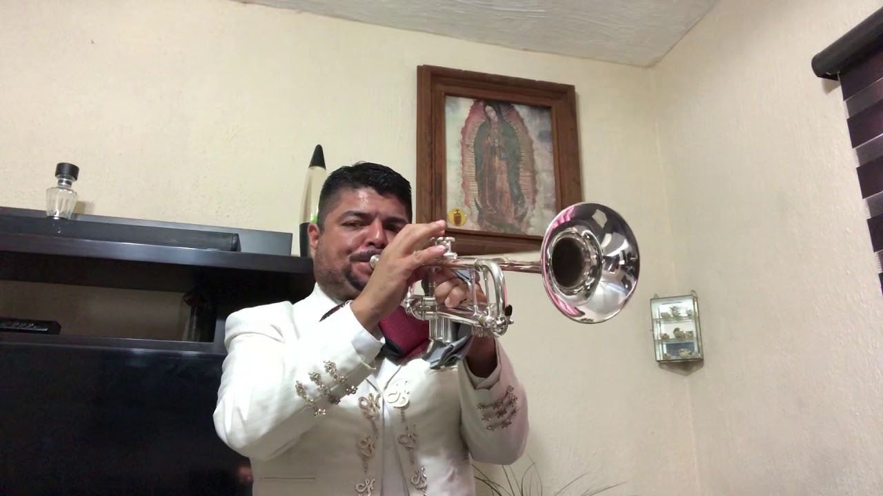 Son De La Negra (Jorge A Cena )