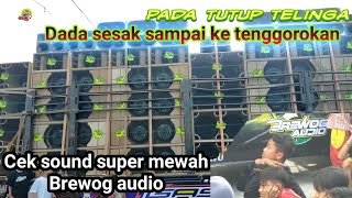 Proses Ke Sawah Tempat Cek Sound Brewog  Penuh Tantangan Dan Suara Super Horeg