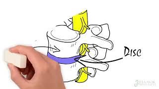 Beginners Guide to Chiropractic