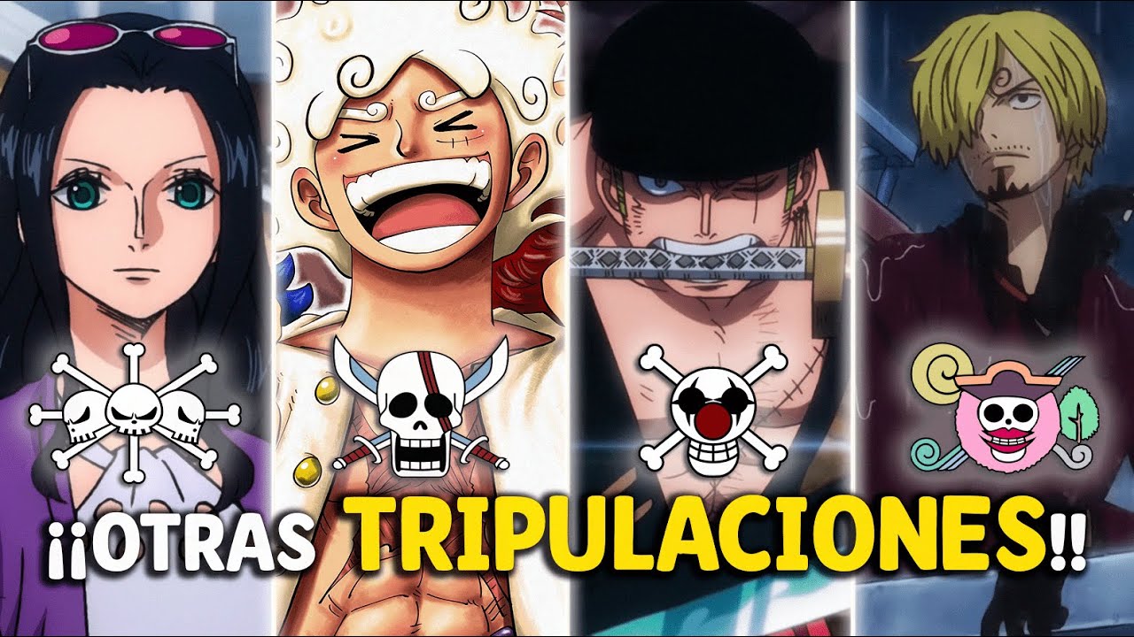 la-otra-tripulaci-n-de-los-mugiwara-one-piece-youtube