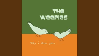 Video thumbnail of "The Weepies - Not Your Year"