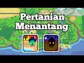 4 tipe pertanian yang menantang di stardew valley