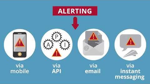 edgescan Attack surface detection