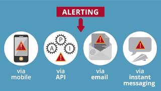 edgescan Attack surface detection