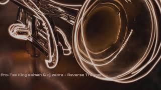 Pro-Tee King Saiman & Dj Zebra - Reverse Trumpet