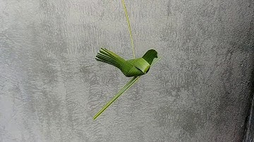 Hướng dẫn làm con chim bằng lá dừa