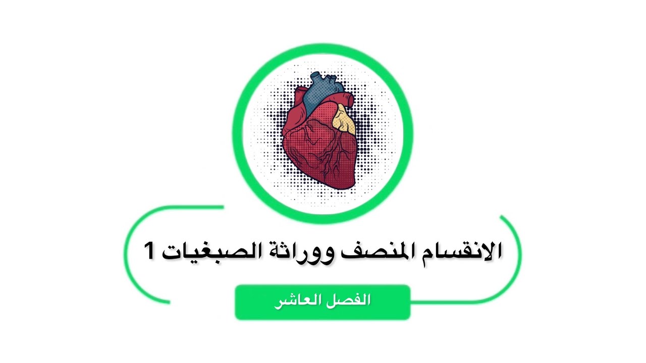 الإنقسام المنصف ووراثة الصبغيات 1 الفصل العاشر بيولوجيا