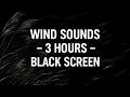 Fall Asleep Fast: Wind Sounds | 3H Black Screen Ambience | Sleep Aid | Relaxing ASMR | No ADs