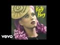 Katy Perry - The One That Got Away