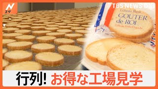 予約不要でしかもタダ！明日行ける！お得な工場見学を紹介 あの人気ラスクに明太子まで｜TBS NEWS DIG