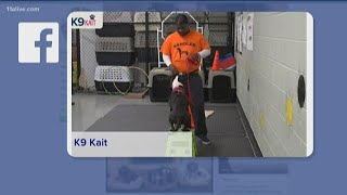 Inmates celebrate graduation for dogs they helped train