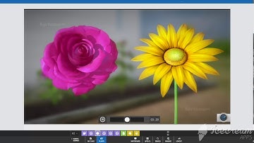 Class 5 Sci   Ch 4 Pollination Parts of a Flower