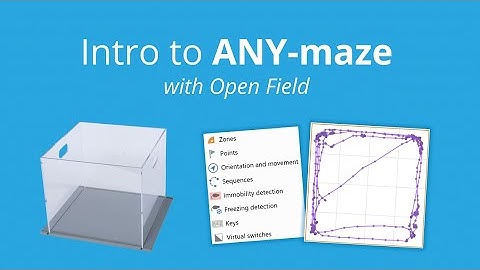 Intro to ANY maze (with Open Field)