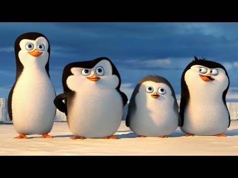 Video: Hoe Pinguïns Te Spelen
