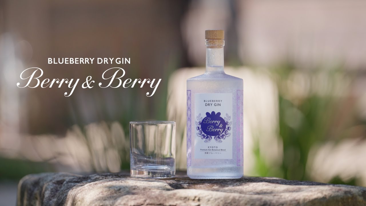 ブルーベリードライジンBerry＆Berry(1本): 健康食品｜わかさ生活