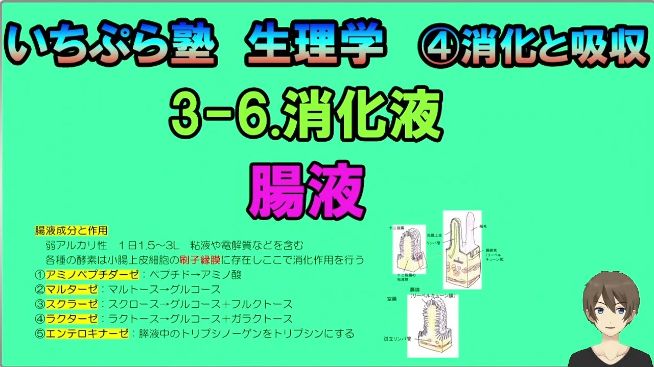 消化液リーフレット