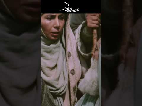 عشق به ولایت هر دیده ای را بینا میکند Shorts