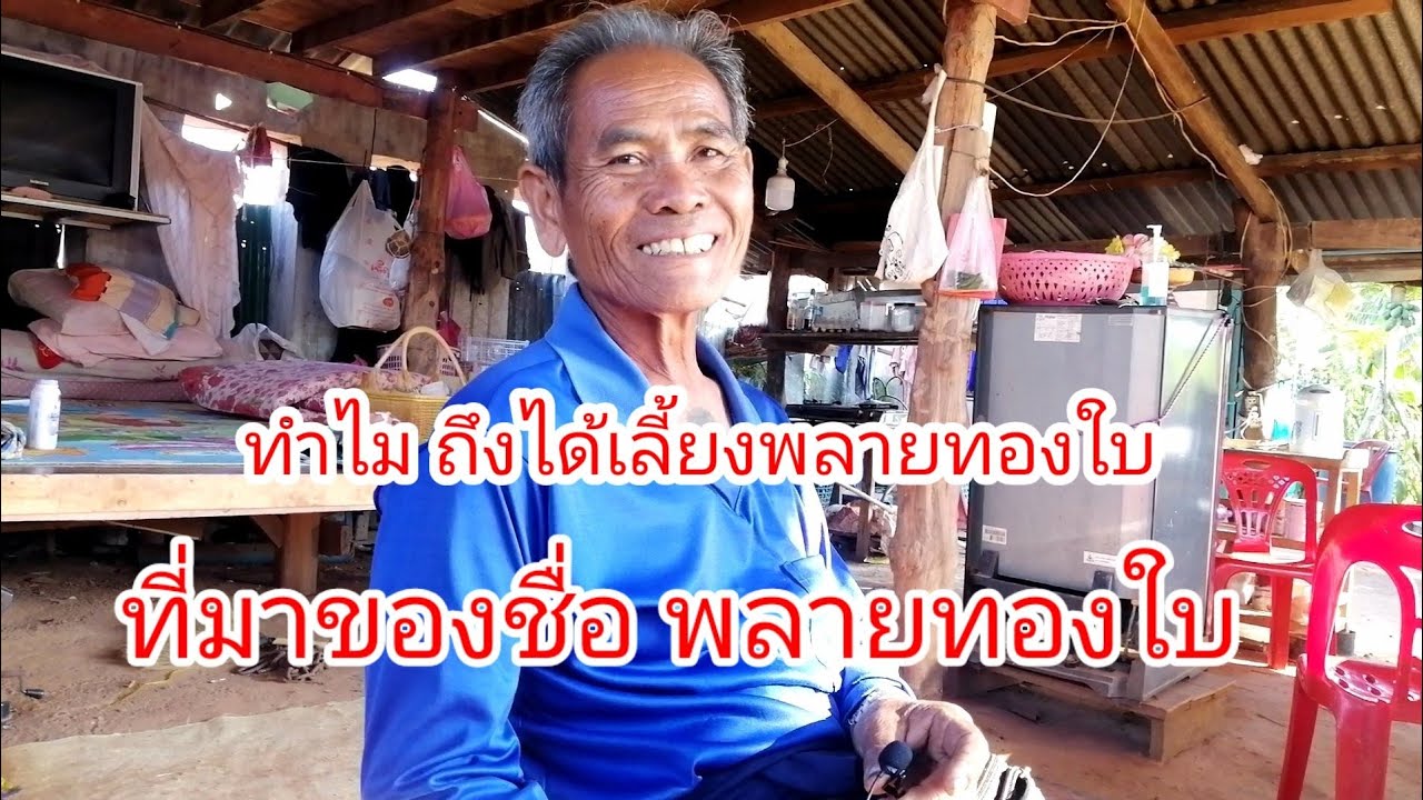 ฟังเรื่องราวตาลุน​ พลายทองใบ​ วีรกรรมหนุ่มสุรินทร์​