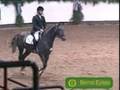 Dressage and Show Jumping - One Step At A Time