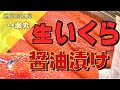 【いくら IKURA 寿司 SUSHI】イクラの醬油漬け！筋子！北海道の高級食材を食らう！イクラがてんこ盛り！
