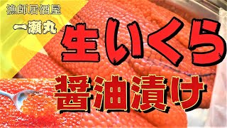 【いくら IKURA 寿司 SUSHI】イクラの醬油漬け！筋子！北海道の高級食材を食らう！イクラがてんこ盛り！