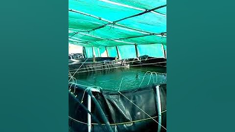 Homemade Biofloc Technology | Lakshmiparshuram Live Fish Market Project Guide