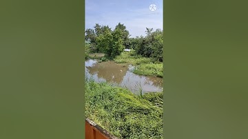 Thumbnail of TheFatRat & Everen Maxwell - Warbringer (feat. Lindsey Stirling)