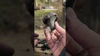 Download Lagu what did you think of the results?! imo smoke is always pretty but next time I'm doing some tweaks😅 MP3