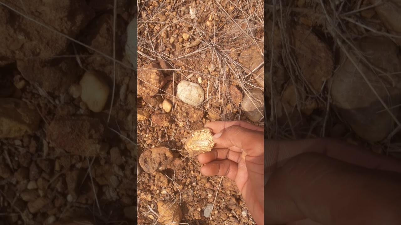 Rockhounding - Finding worlds best agate texture, rock collecting