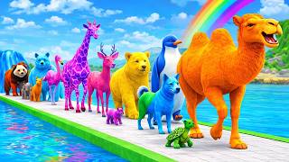 Long Slide Game with Colourful Duck Cow Tiger Gorilla Dog Elephant 3d Animal Game Funny 3d Animals