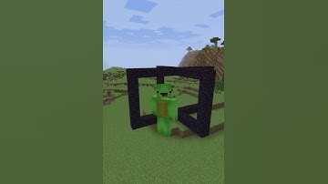 Nether Portal Experiment