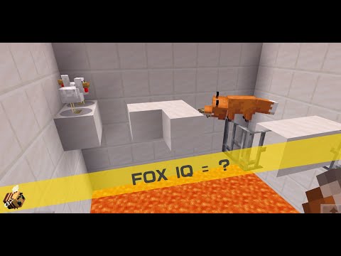 minecraft fox iq चाचणी | माइनक्राफ्ट टेम फॉक्स चिकन इंटेलिजेंस टेस्ट पास करतो का? minecraft व्हिडिओ